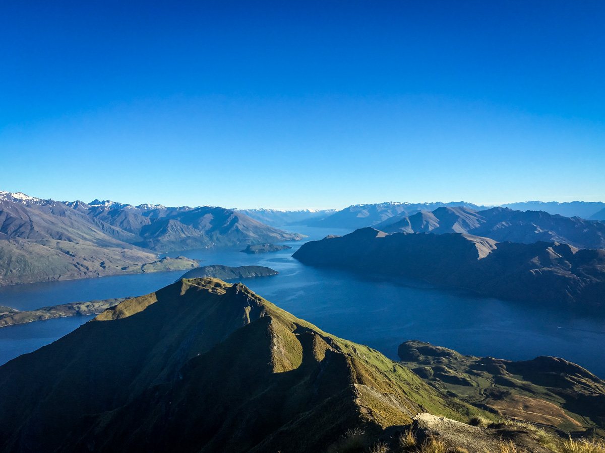 New Zealand Working Holiday Visa