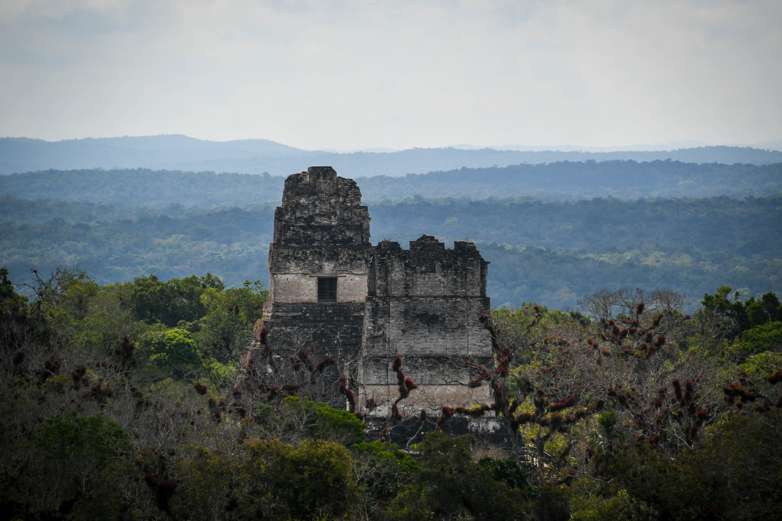 Things to do in Guatemala Tikal Ruins