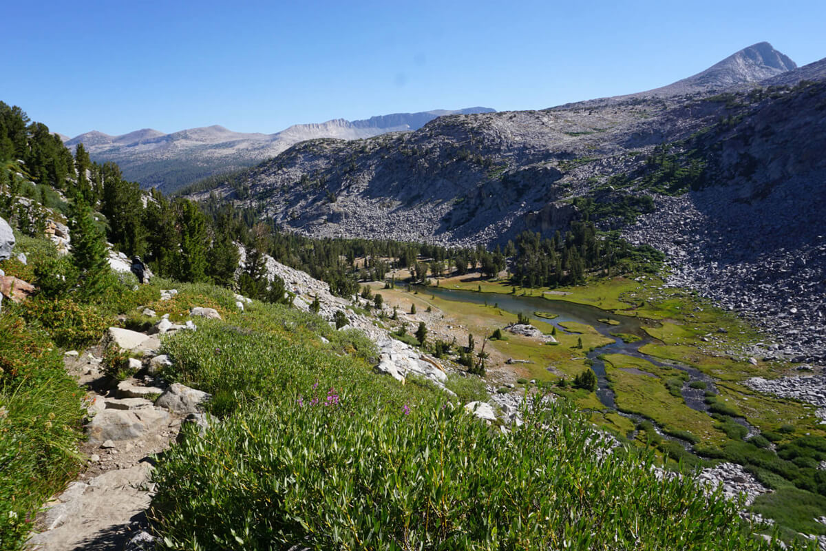 Lyell Canyon Yosemite National Park