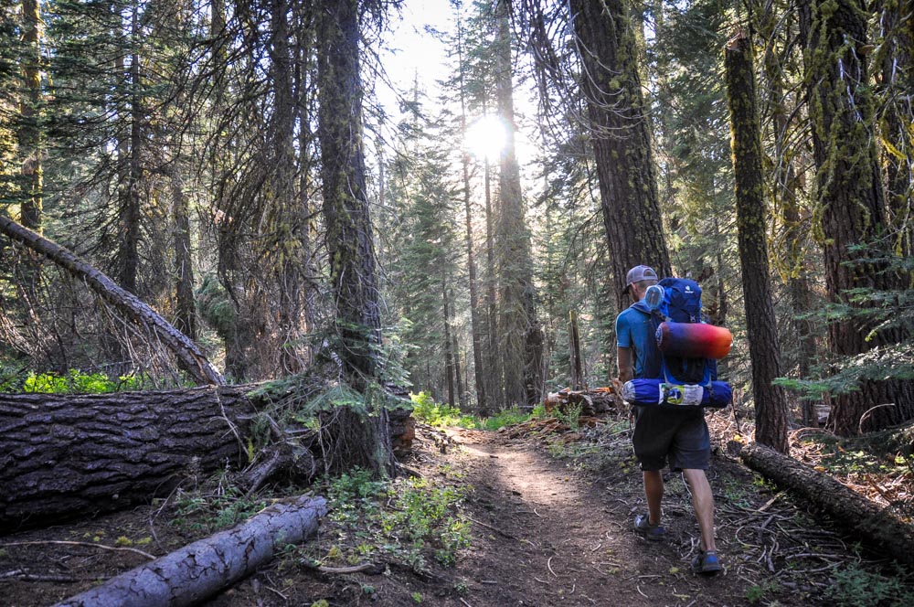 Best Hikes in Yosemite National Park Dewey Point Hiking Trail