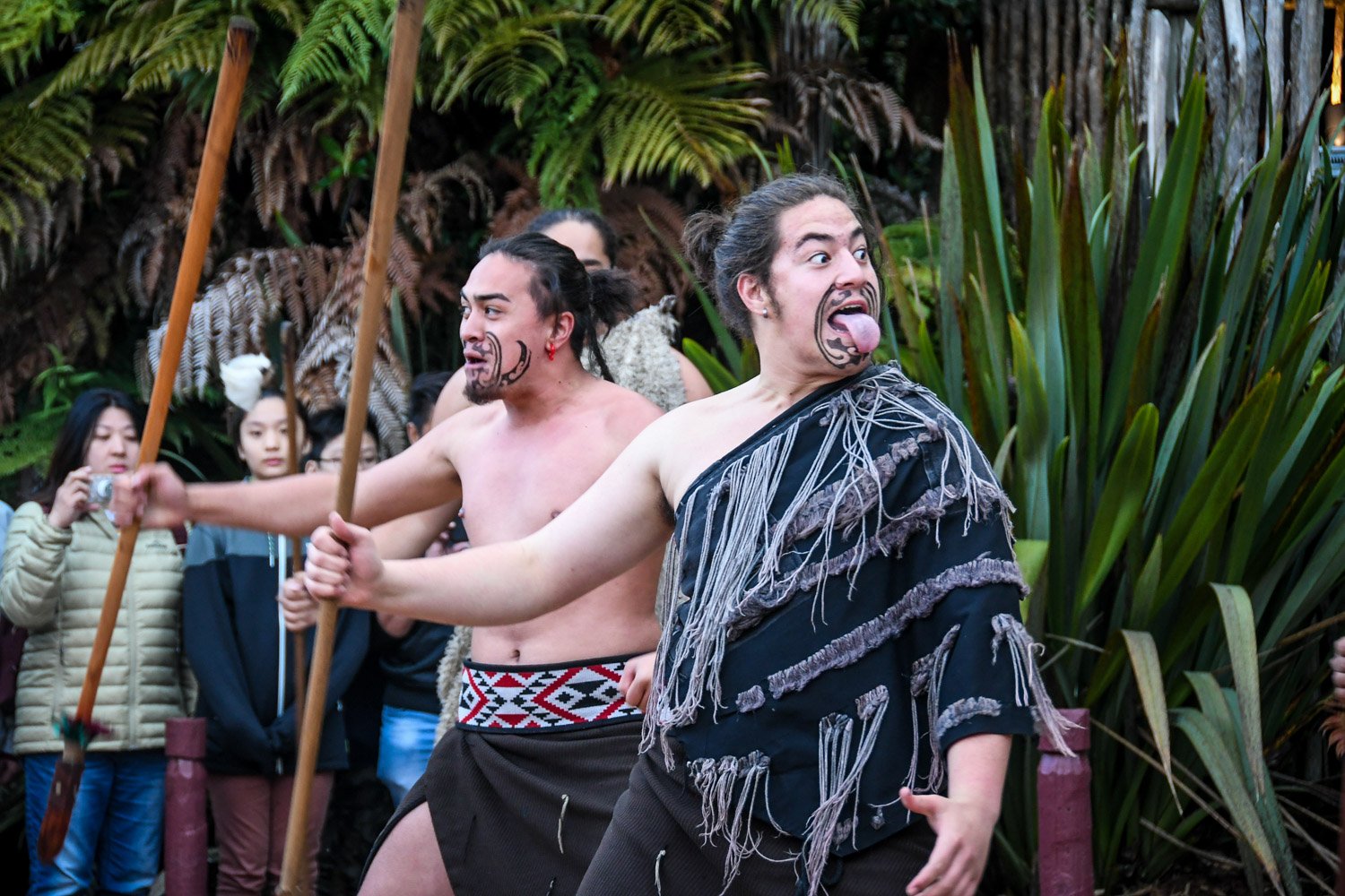 New Zealand Maori Culture