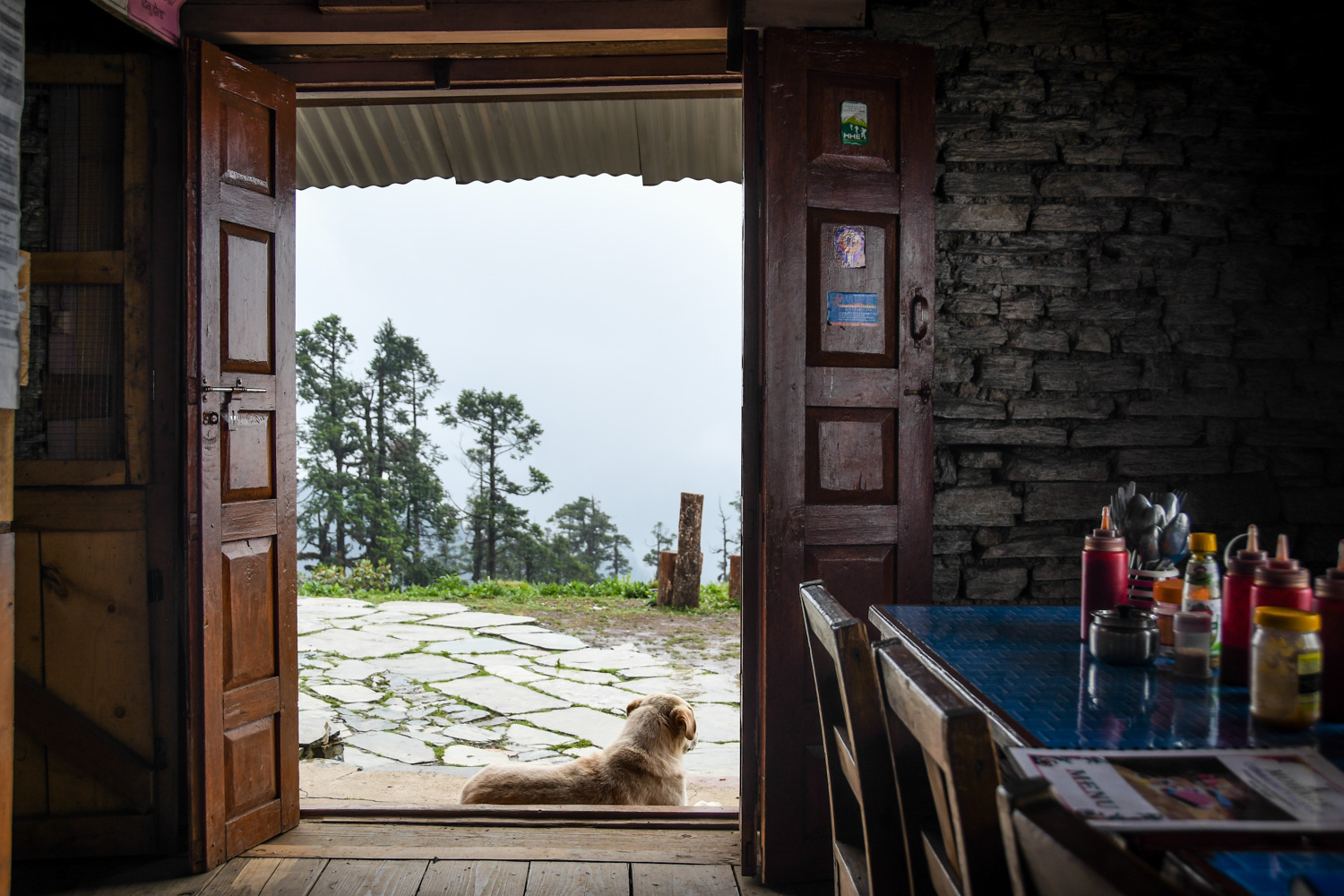 Mohare Danda Trek Inside the Lodge