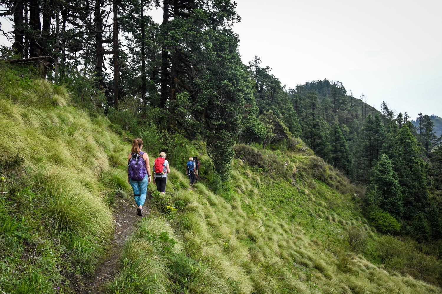 Short Treks in Nepal