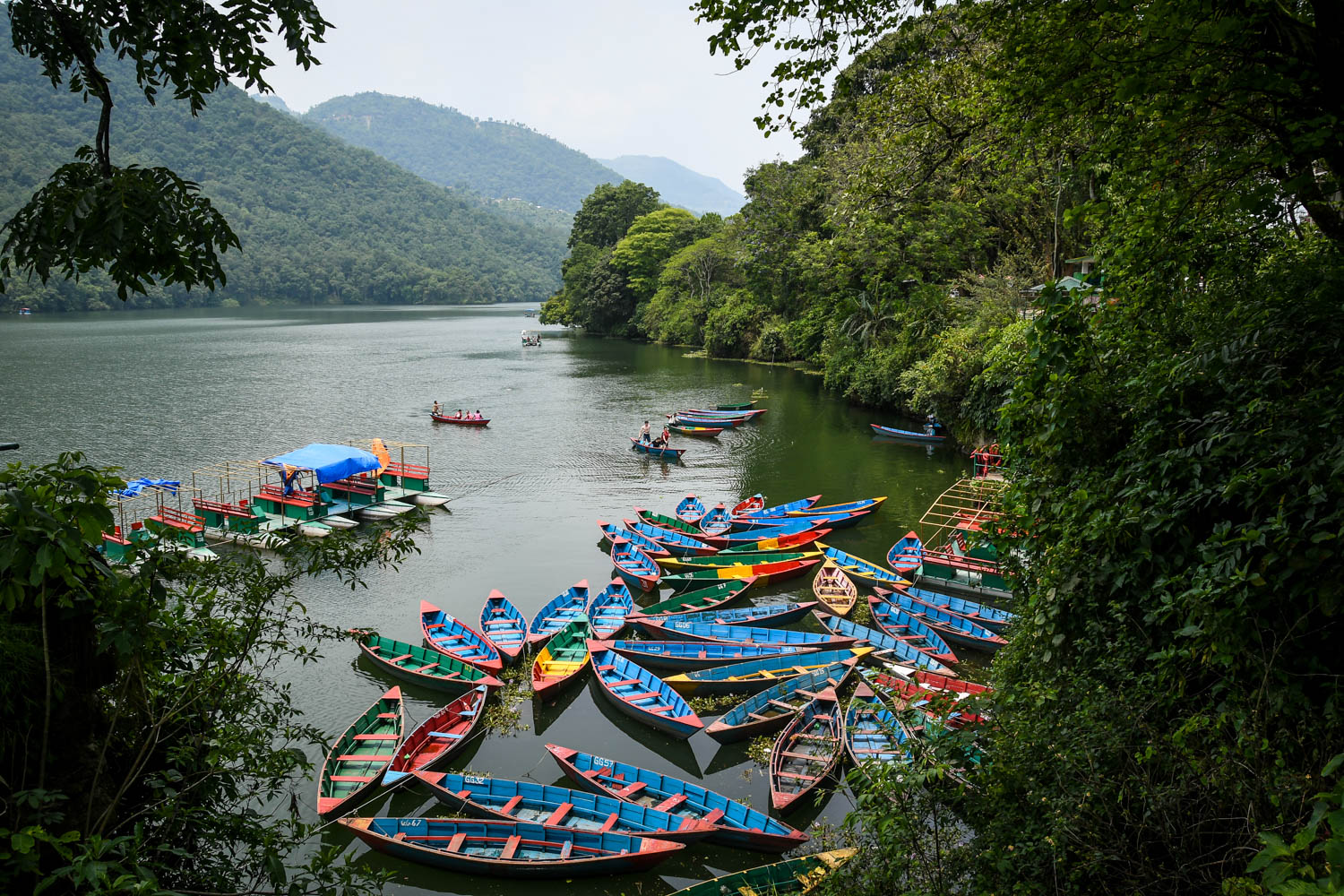 Nepal Travel Guide Pokhara Colorful Boats