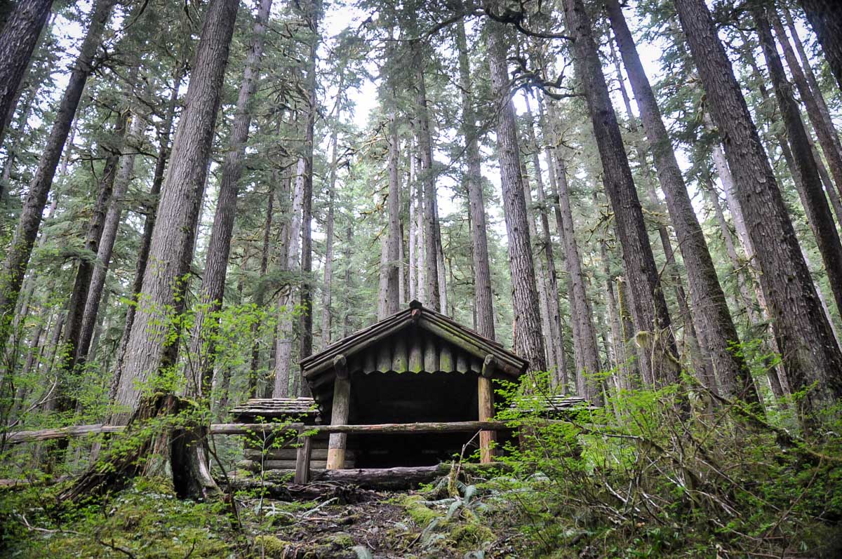 Olympic National Park Road Trip Route