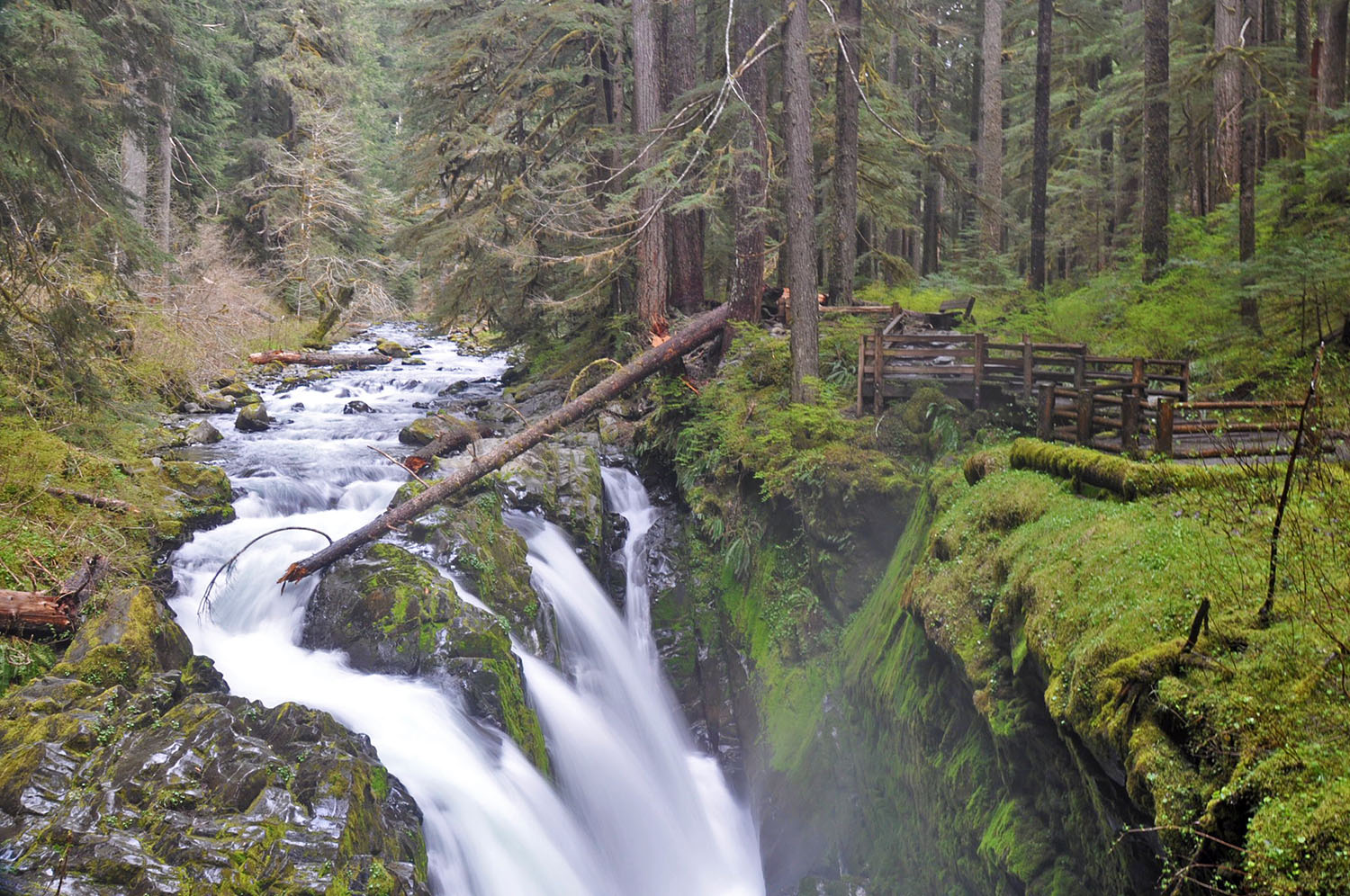 Sol Duc Falls Olympic Peninsula