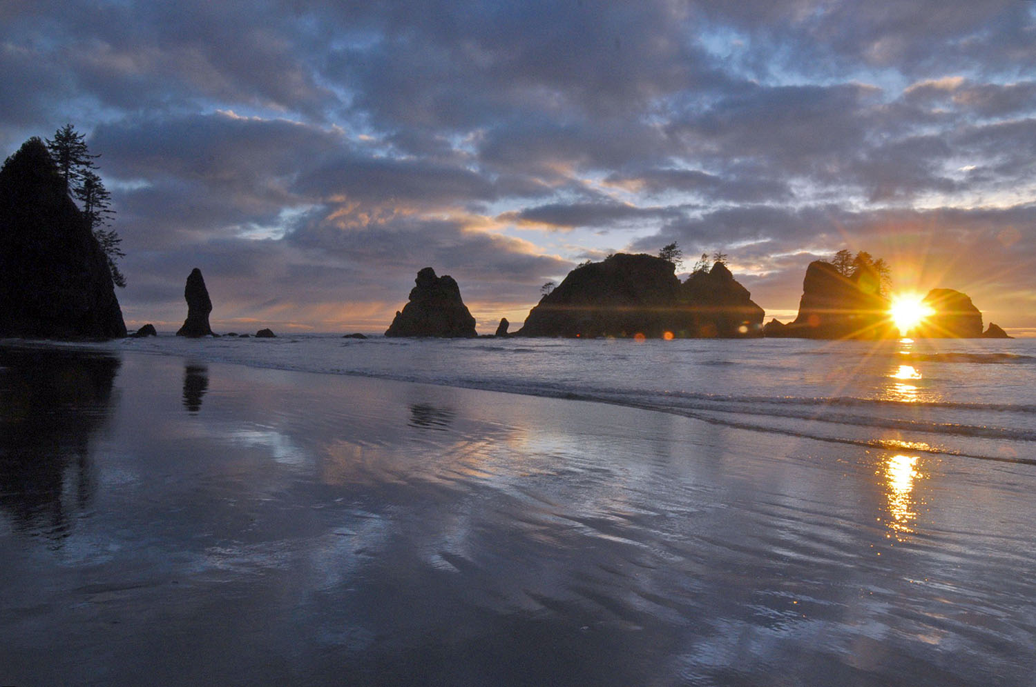 Shi Shi Beach Olympic Peninsula