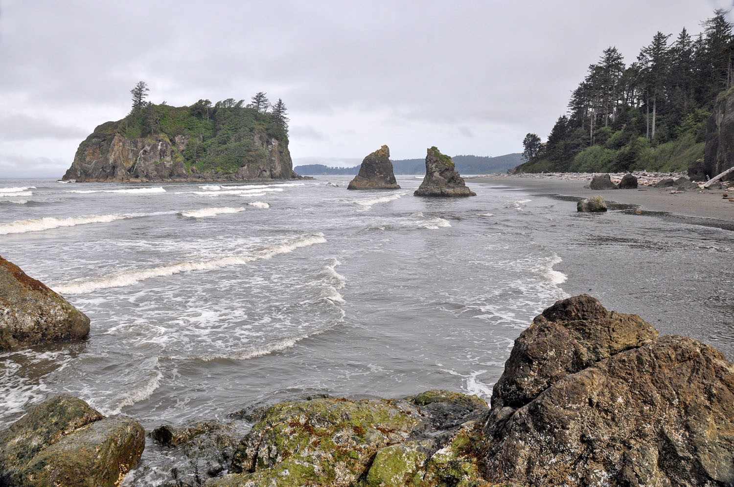 Ruby Beach Olympic Peninsula