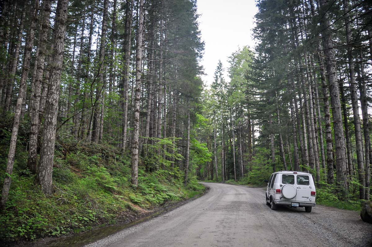 Olympic National Park Road Trip