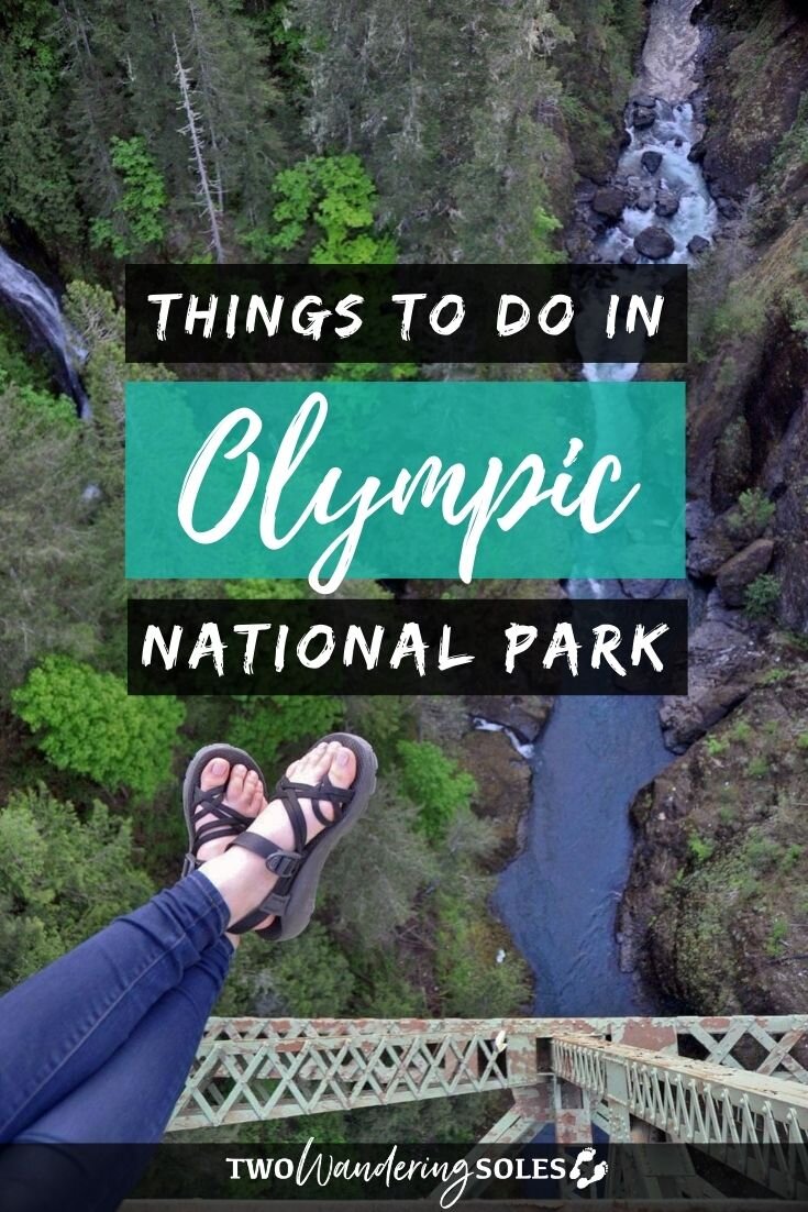 Best things to do in Olympic National Park: Our Detailed Road Trip Guide
