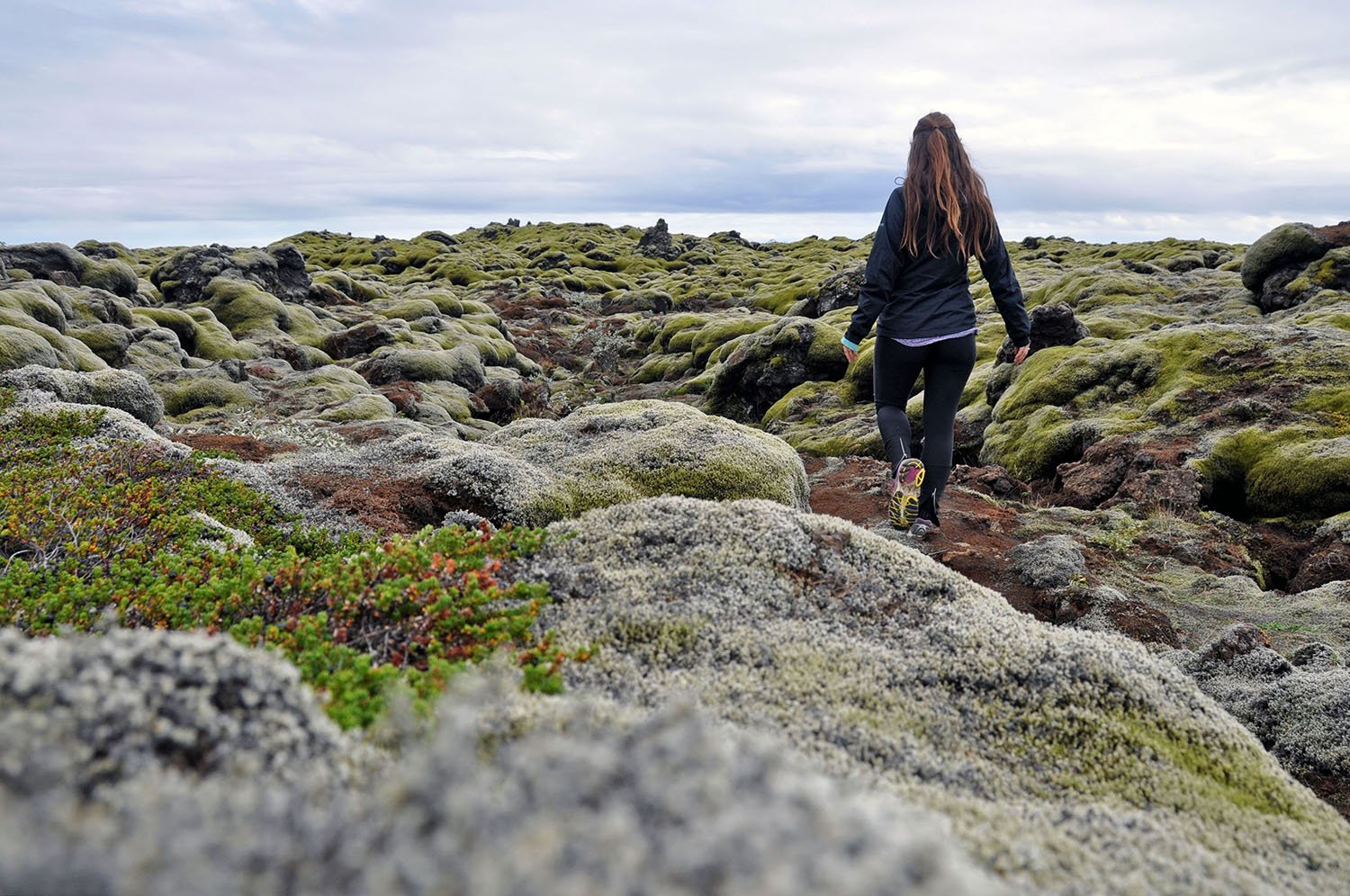 Iceland Rental Cars Mossy Green Fragile Land