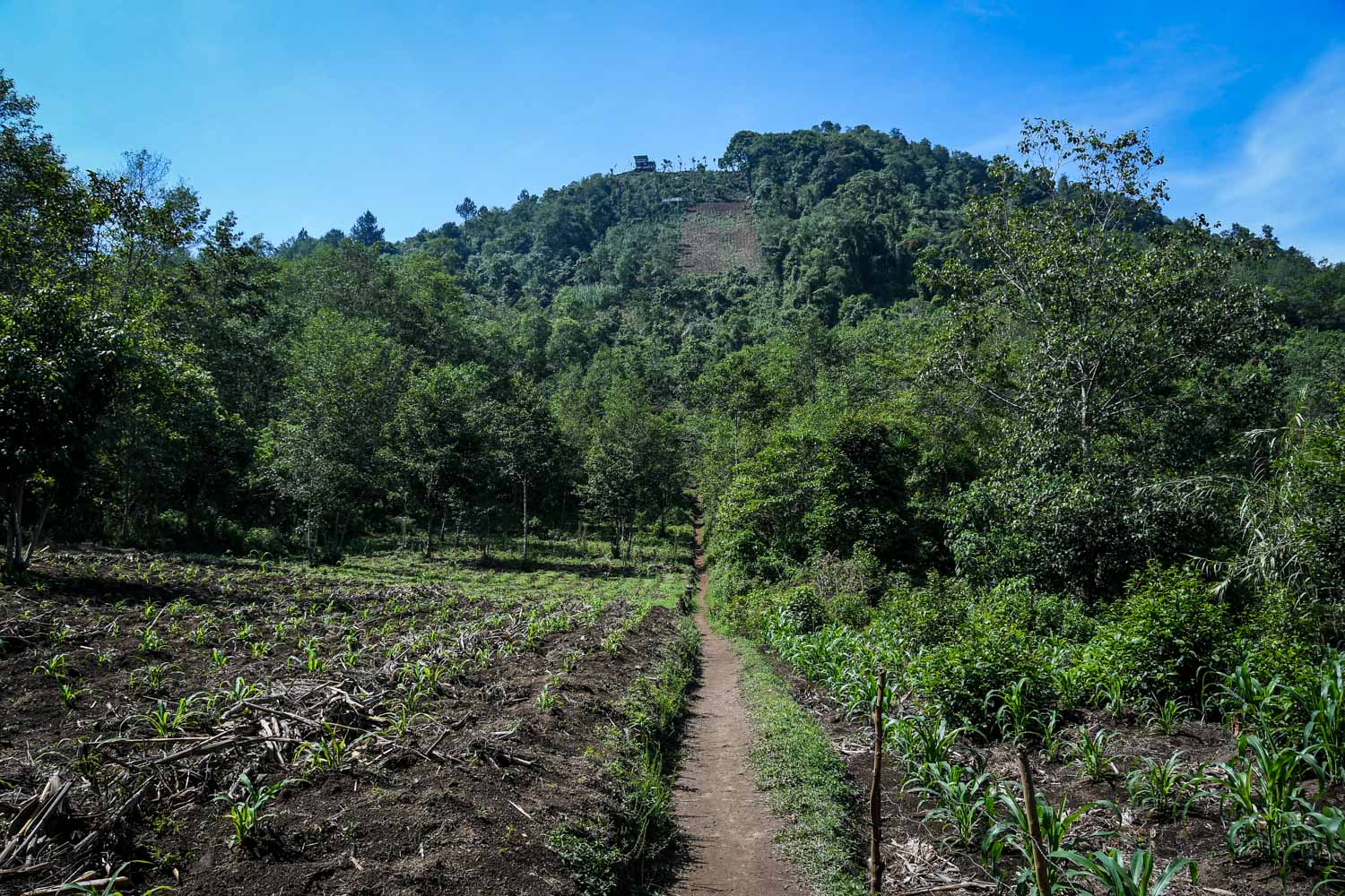 Things to Do in Lake Atitlan: Trail to Indian Nose