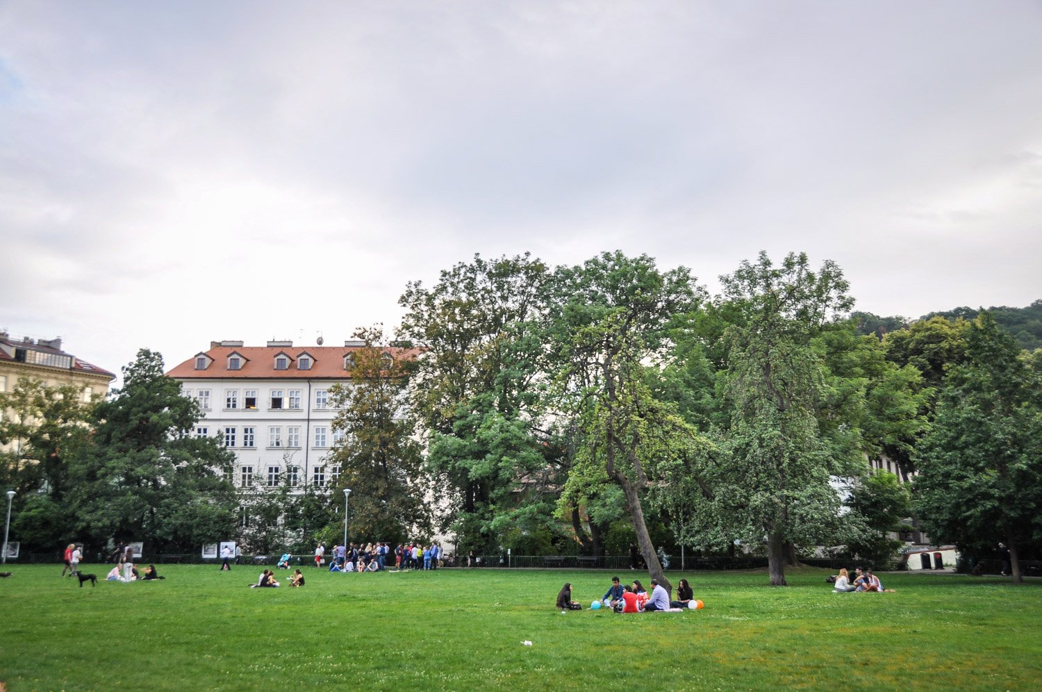 Things to do in Prague Picnic