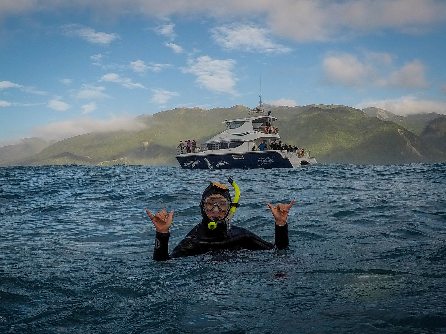 Swimming with Dolphins Kaikoura New Zealand