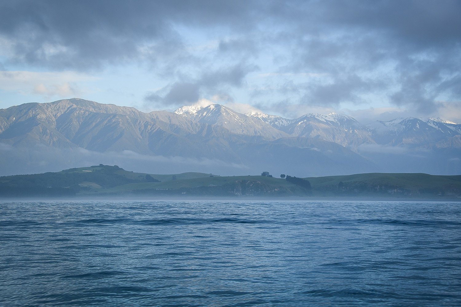 Swimming with Dolphins Kaikoura New Zealand