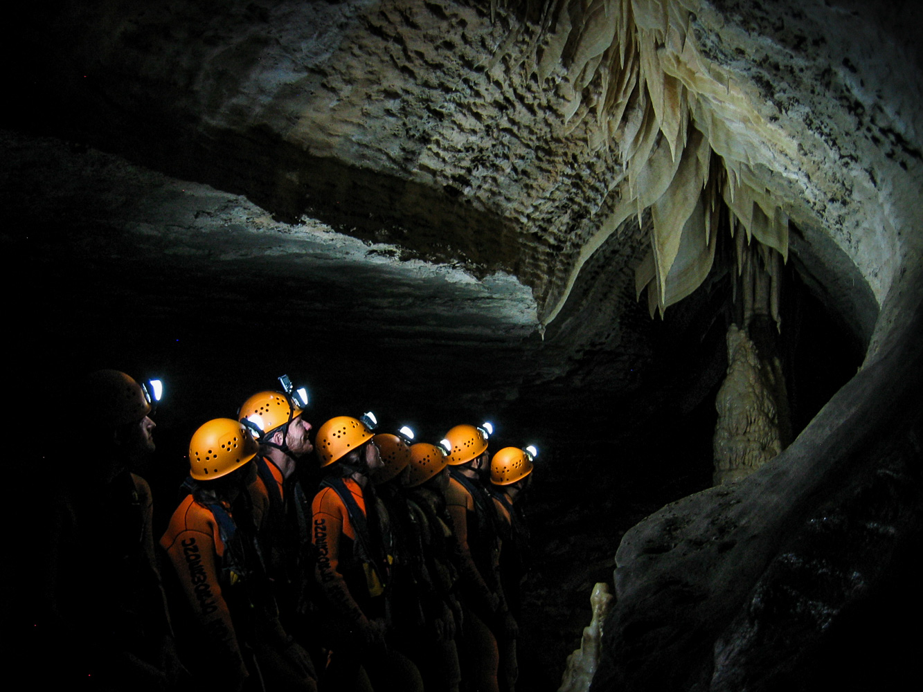 Things to Do in West Coast NZ Underworld Cave Rafting Glow Worm Tour