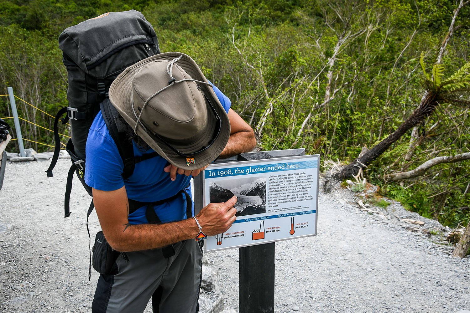 Things to Do in West Coast Franz Josef Glacier Tour Guide