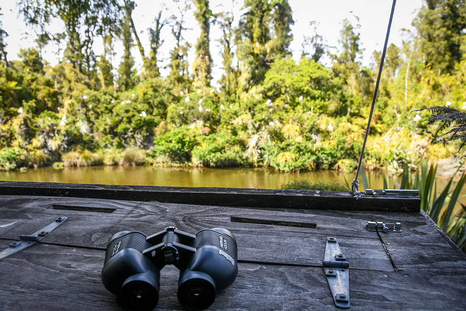 Things to Do in West Coast NZ White Heron Kokotu Viewing Platform