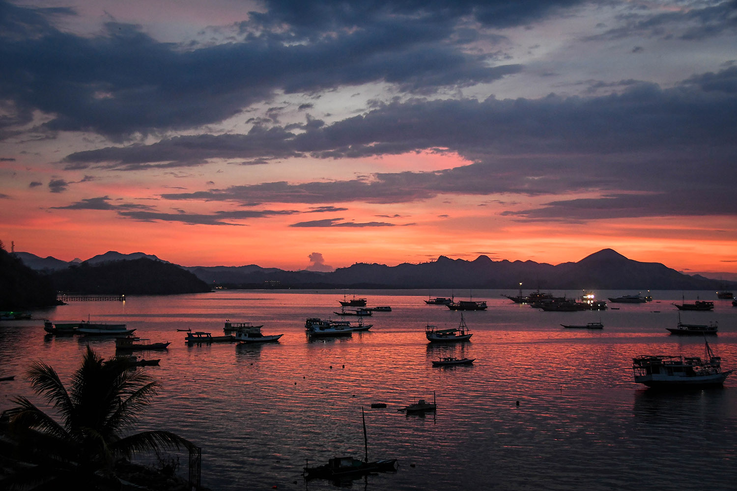 Komodo Scuba Liveaboard Labuan Bajo