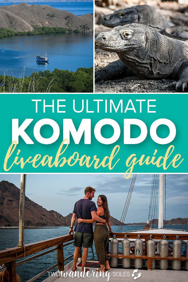 Komodo Liveaboard Diving Guide