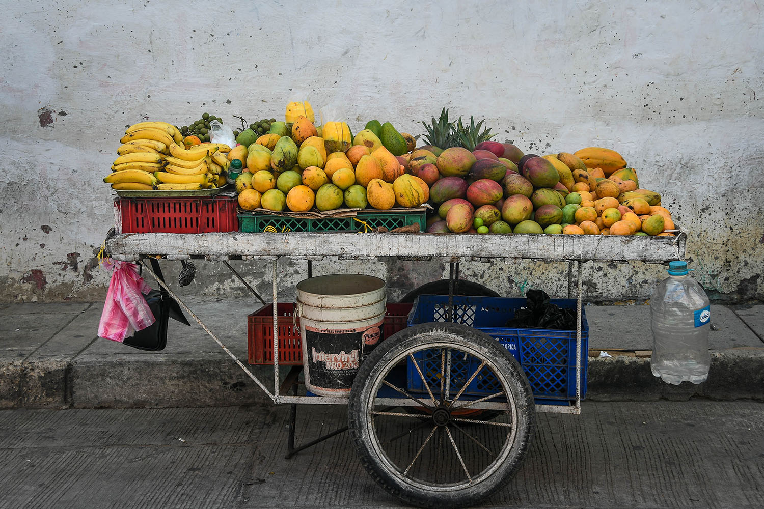 Things to do in Cartagena Colombia