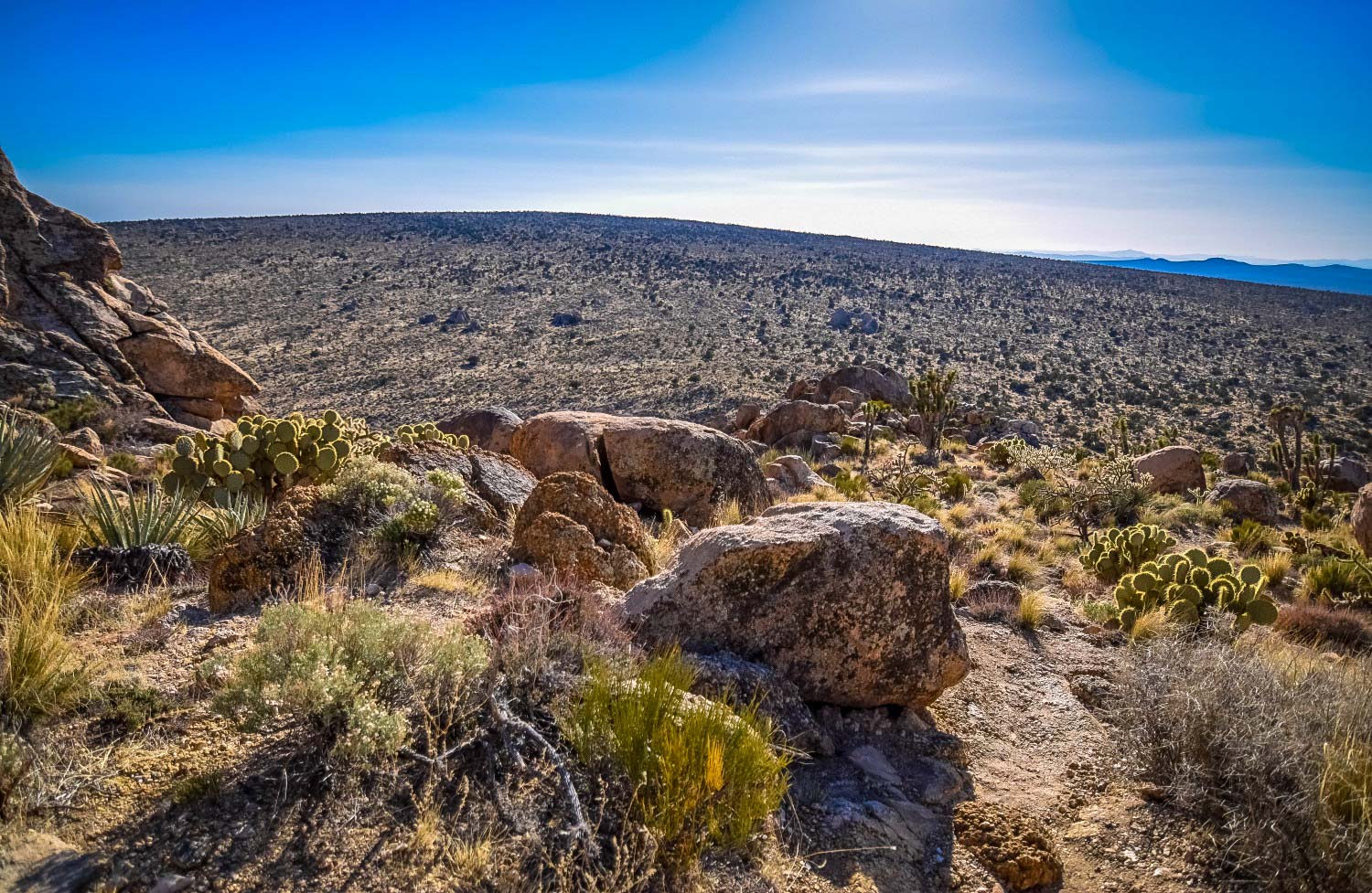 Best Desert Hikes in California: Teutonia Peak Trail Credit: We Who Roam