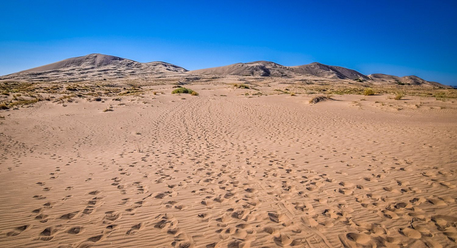 Best Desert Hikes in California: Kelso Dunes Trail Credit: We Who Roam