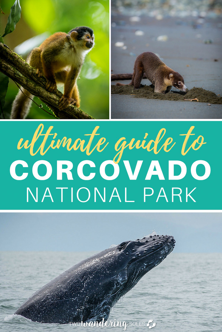 Ulitmate Guide to Corcovado National Park Costa Rica