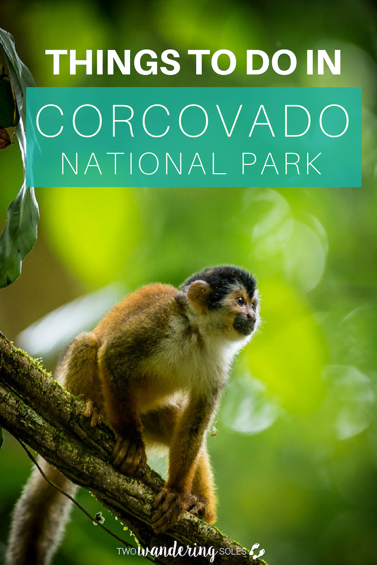 Ulitmate Guide to Corcovado National Park: Things to Do in Costa Rica's Best Kept Secret