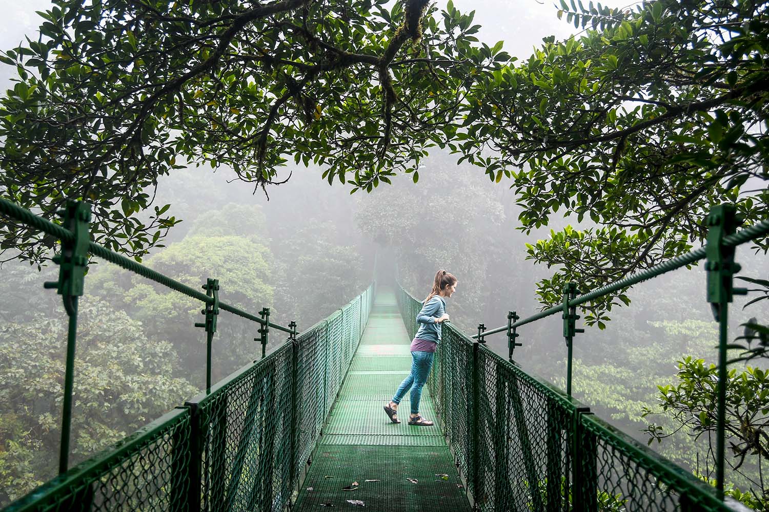 Things to Do in Costa Rica Monteverde Cloud Forest