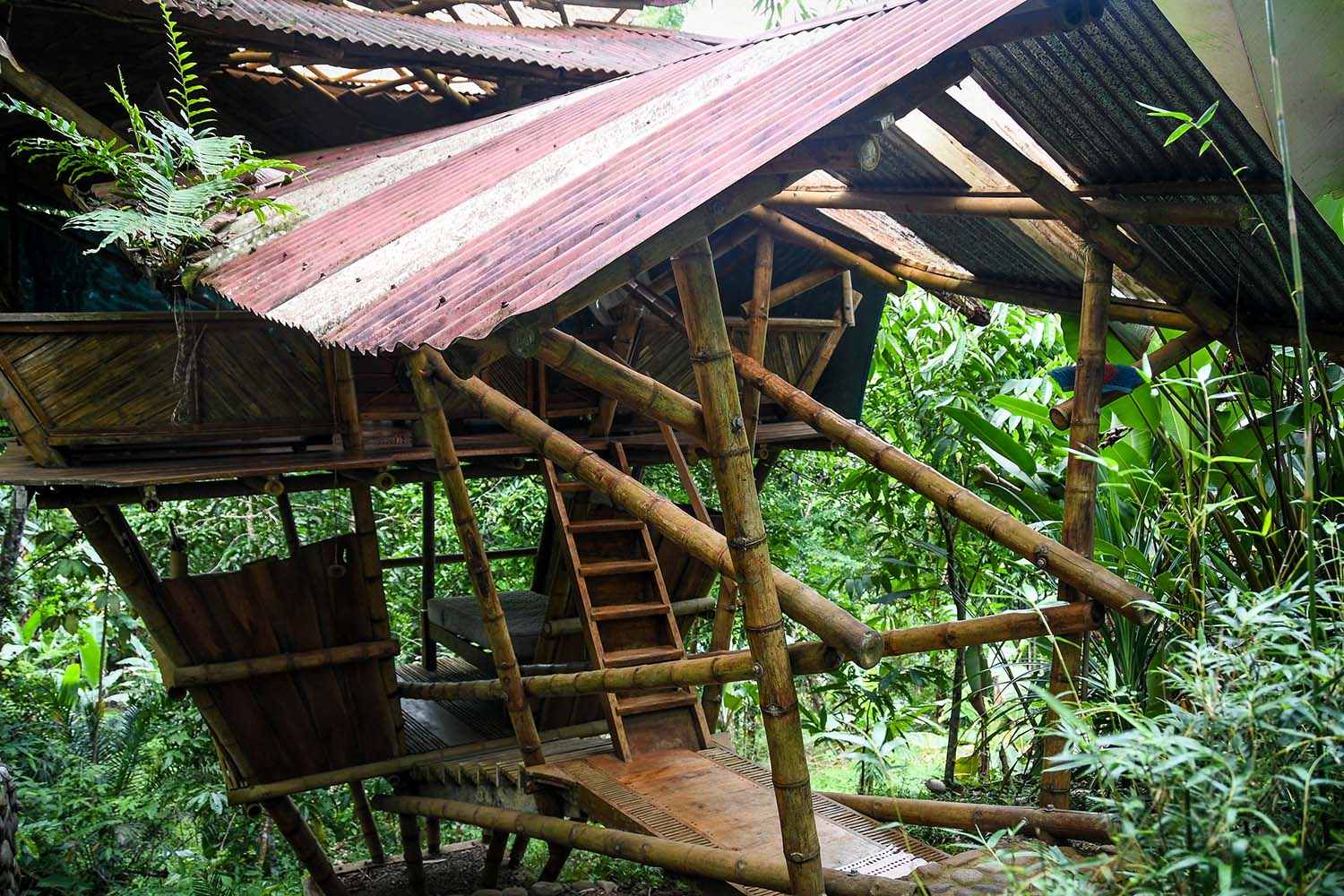 Things to Do in Costa Rica Stay in a Tree House