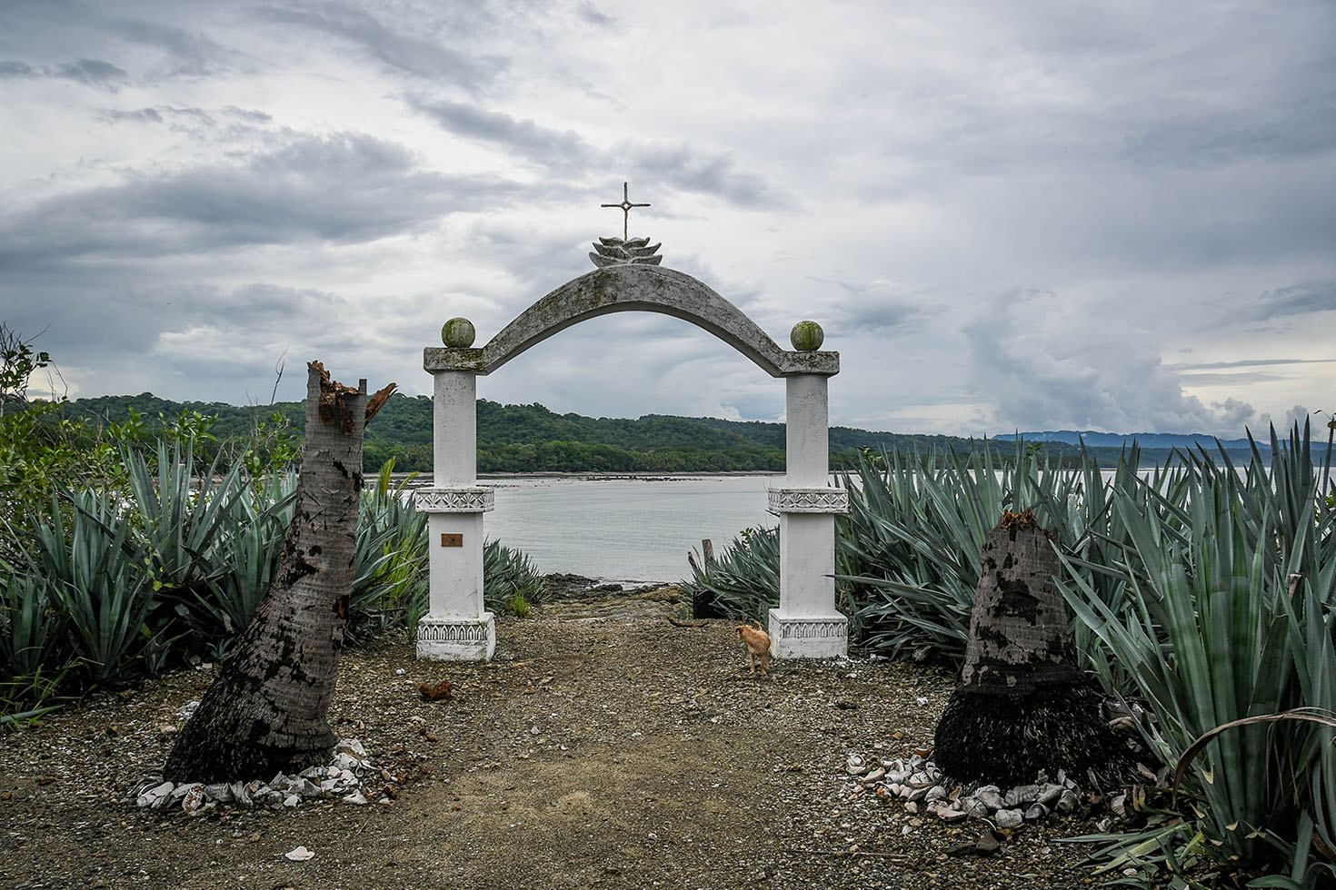 Things to Do in Costa Rica: Visit a Cemetery Island