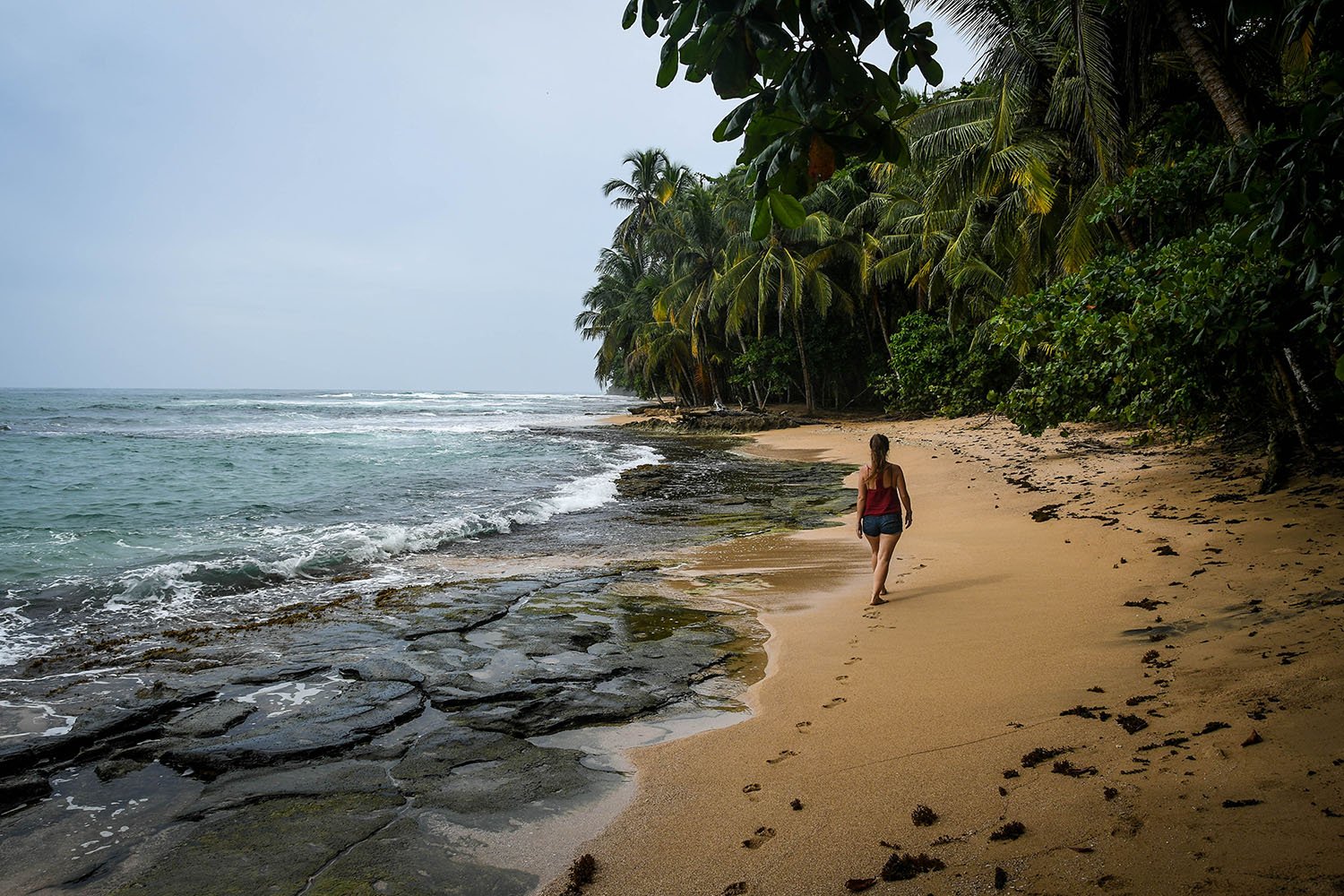 Puerto Viejo Travel Guide Manzanillo Beach