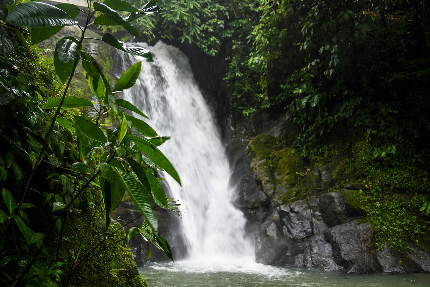 Puerto Viejo Travel Guide BriBri Waterfall