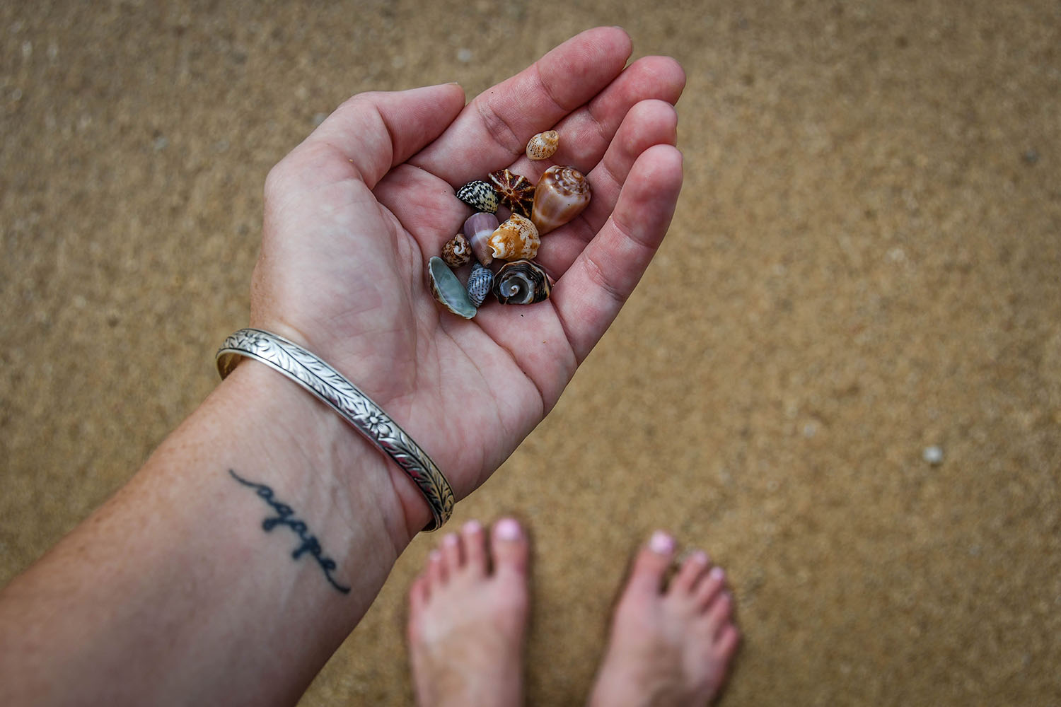 Puerto Viejo Travel Guide Shells