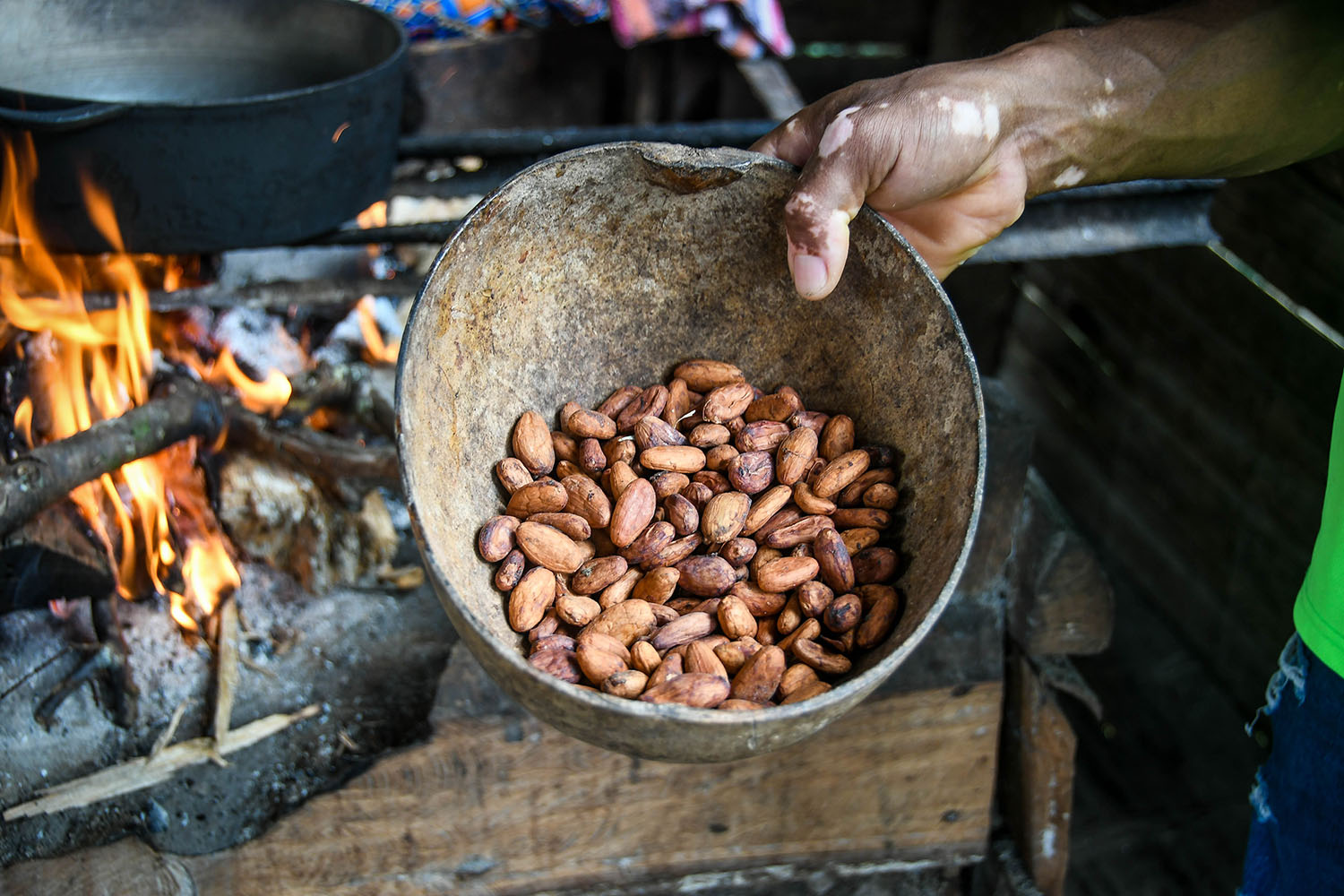 Bri Bri Indigenous Village Tour Dried Cocoa Beans