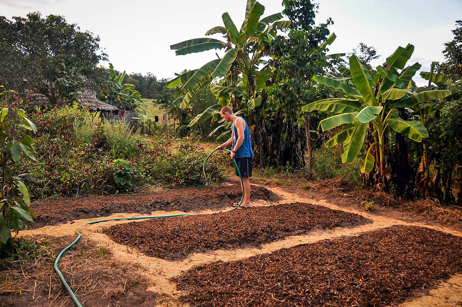 How We Afford to Travel WWOOF Farming