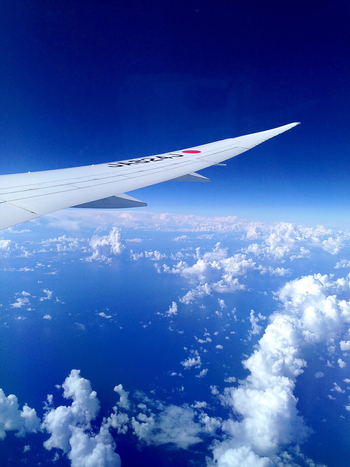 Find Cheap Flights Airplane Wing in the Sky