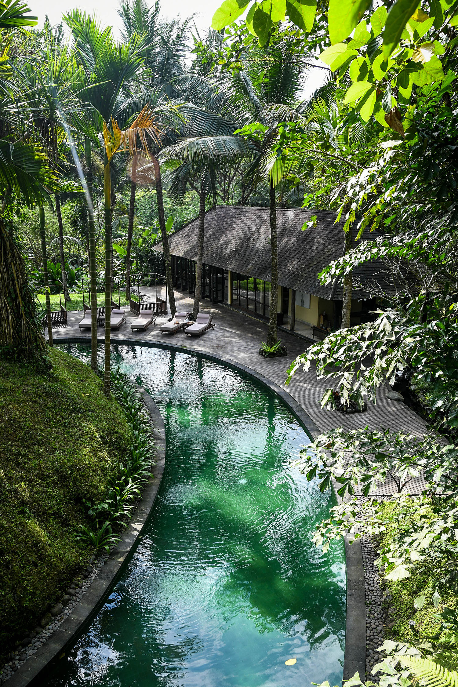 Komaneka at Bisma Ubud Resort Review Pool and Palm Trees