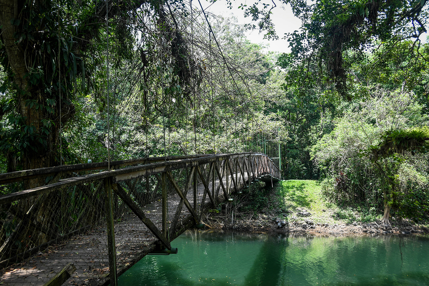 Things to Do in Lake Yojoa Honduras Los Naranjos Eco Park