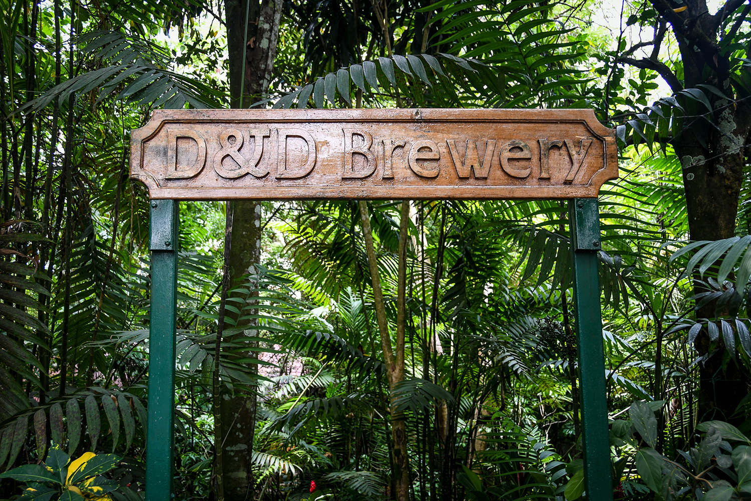 Things to Do in Lake Yojoa Honduras D&D Brewery