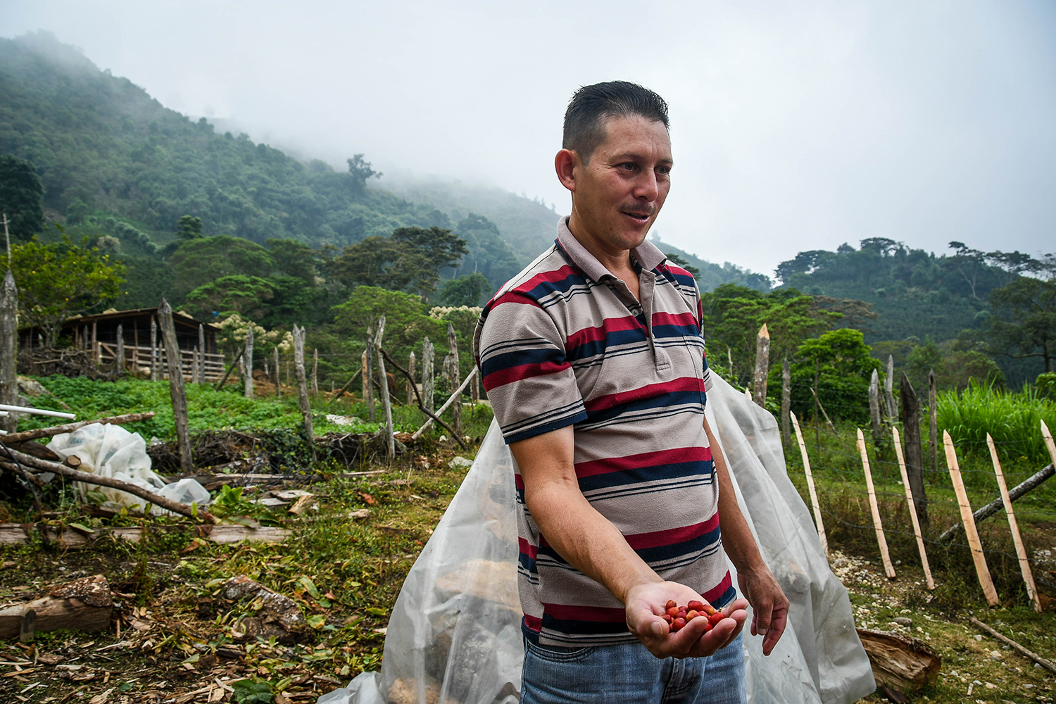 Coffee Tour Honduras Milton Farmer