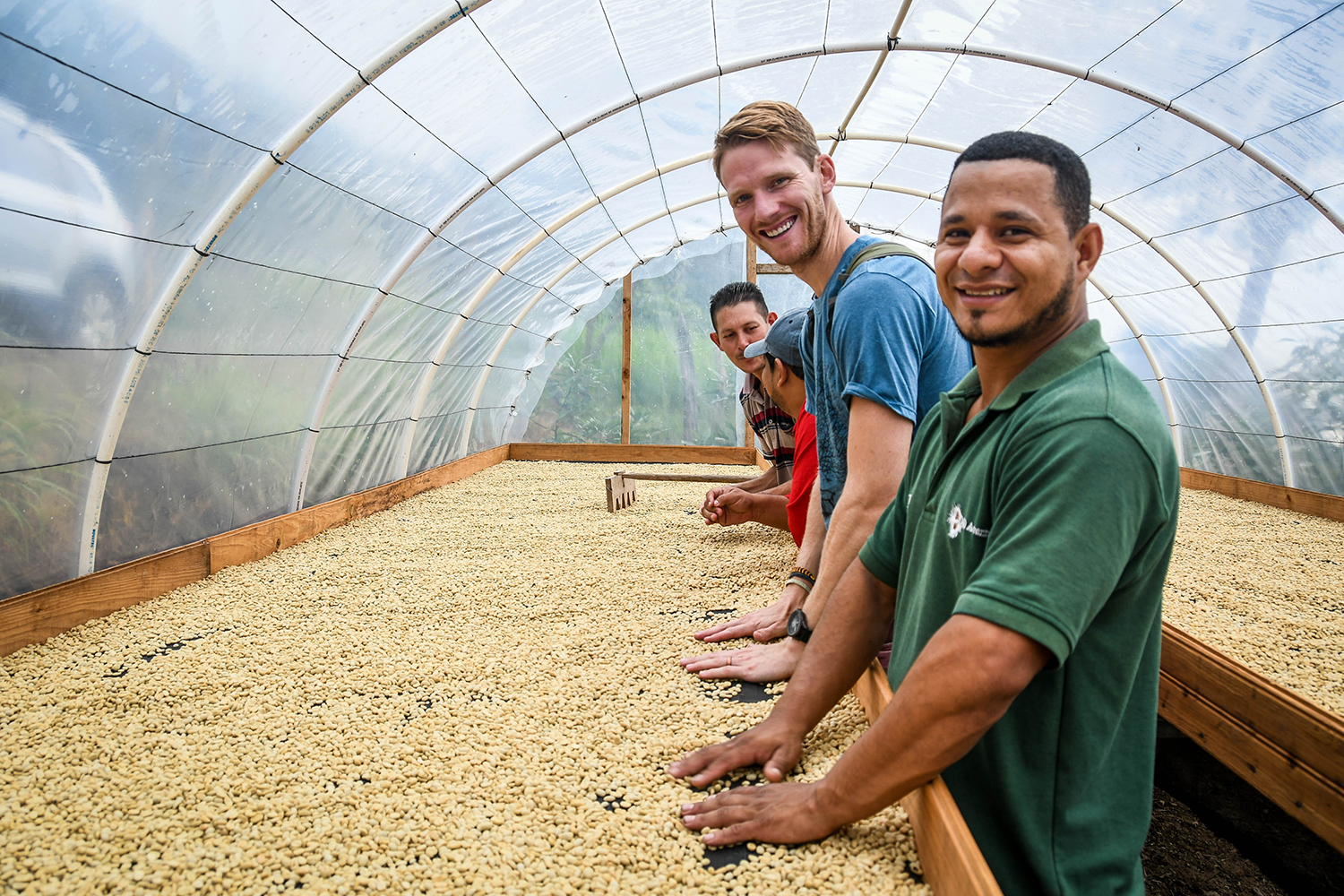 Coffee Tour Honduras Drying Coffee Beans