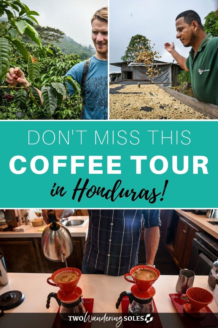 Coffee Tour Honduras