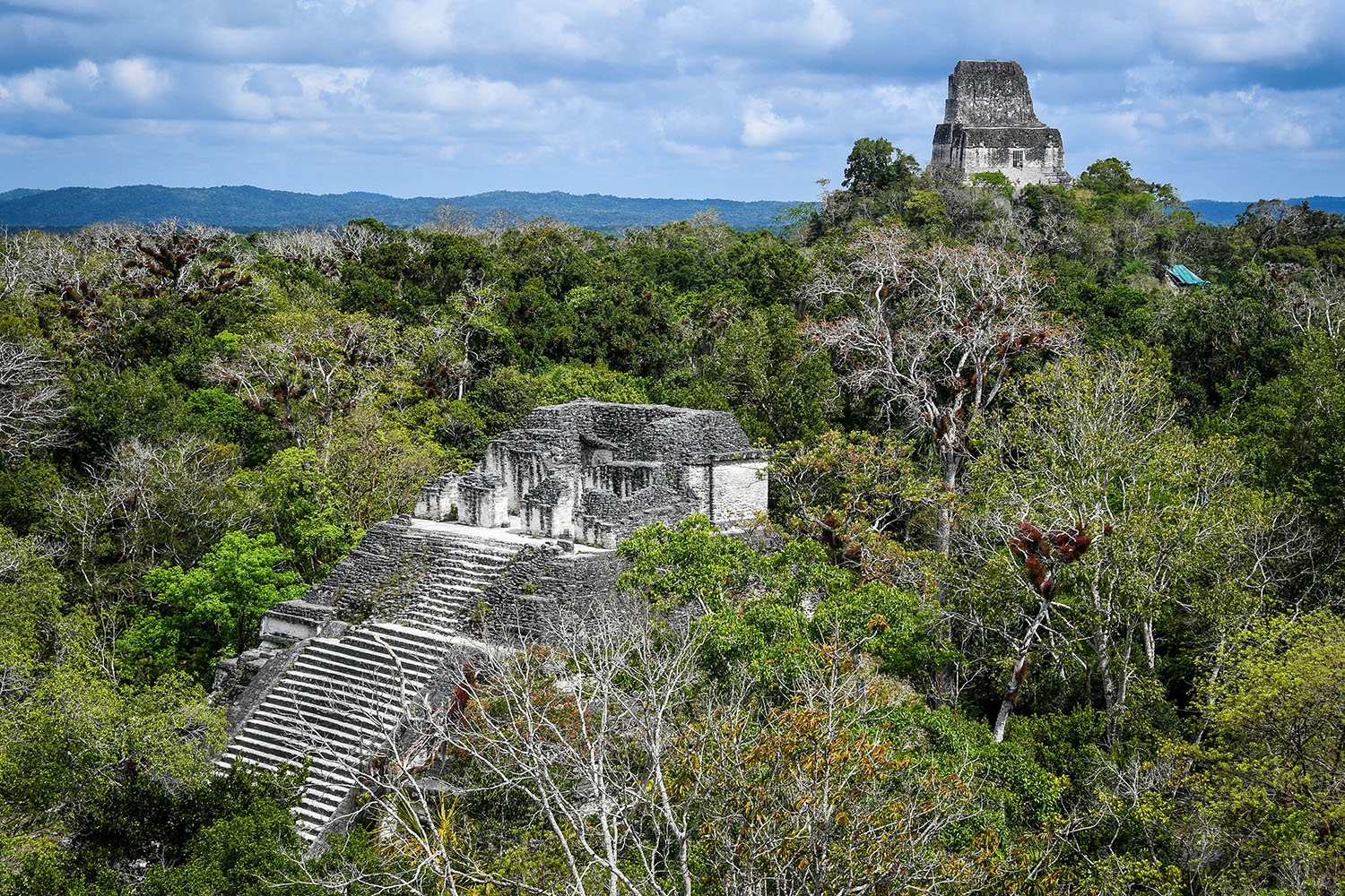 Visit Tikal Guatemala Ancient Ruins