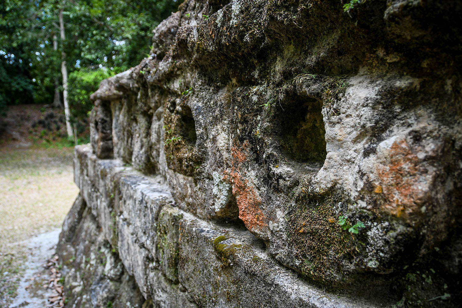 Visit Tikal Guatemala Ancient Ruins