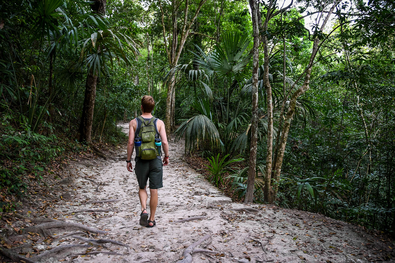 Visit Tikal Guatemala Walking Trails