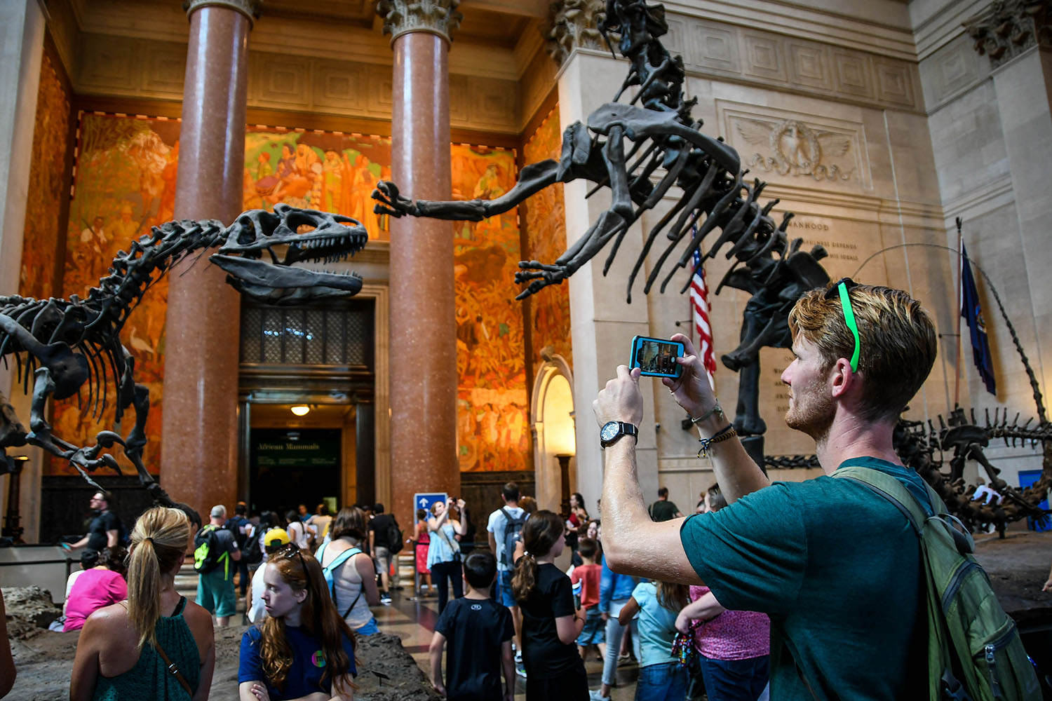 Things to Do in New York City American Museum of Natural History