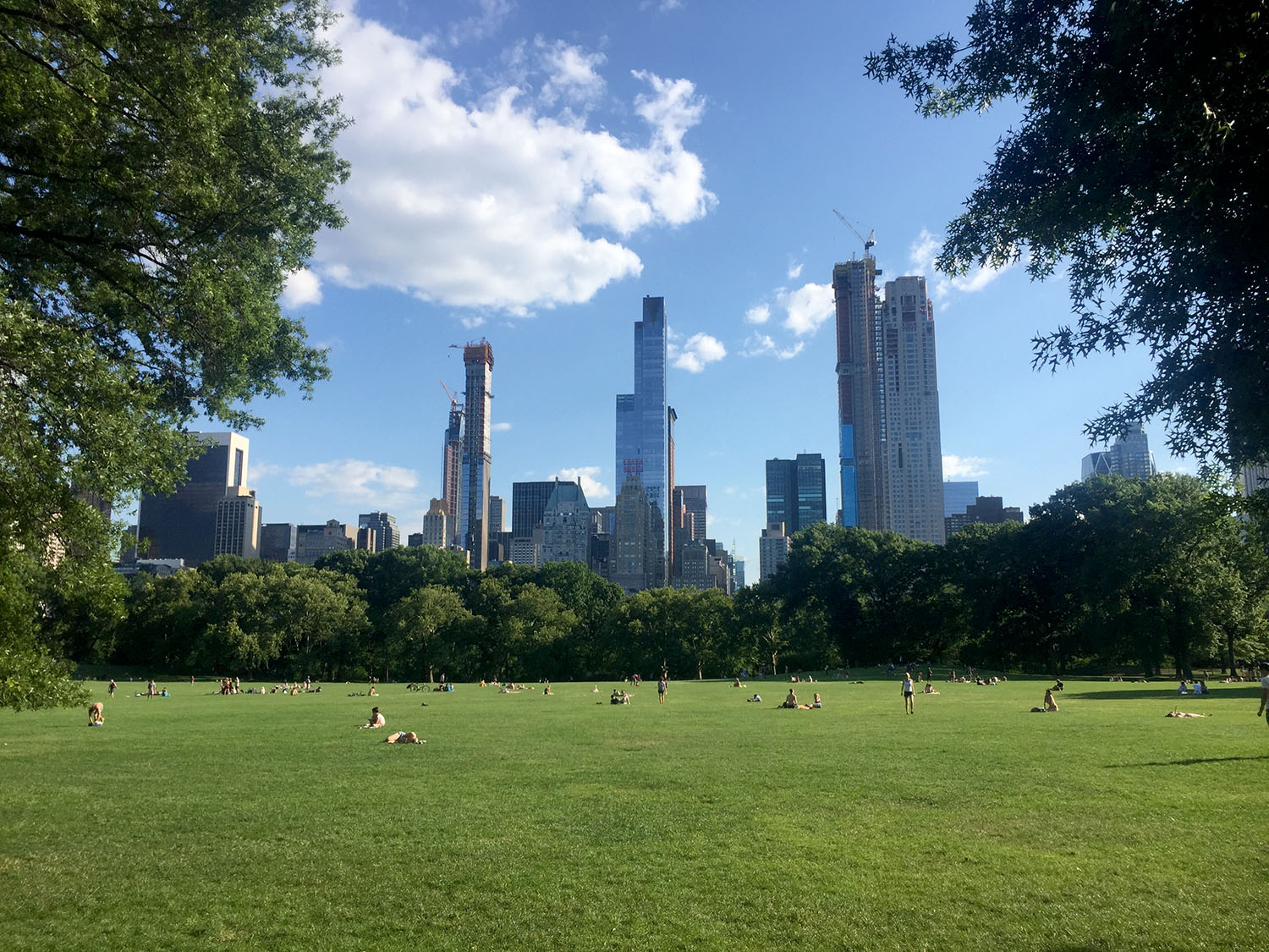 Things to Do in New York City Central Park Sheep's Meadow