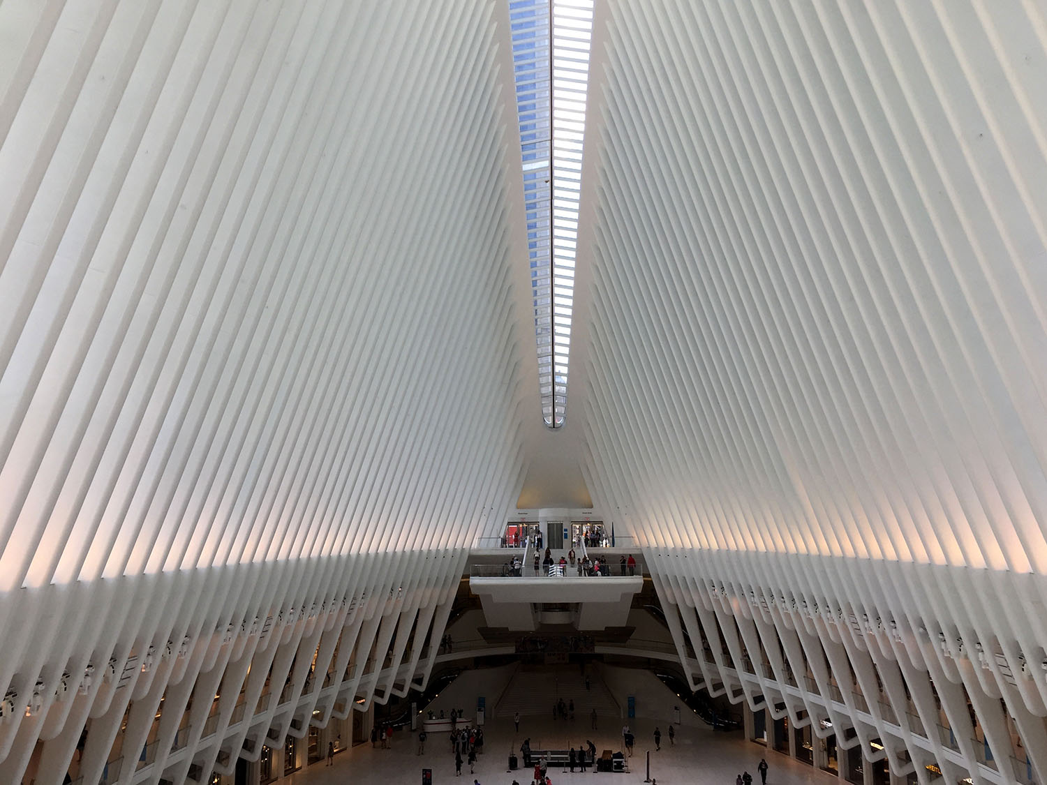 Things to Do in New York City Oculus